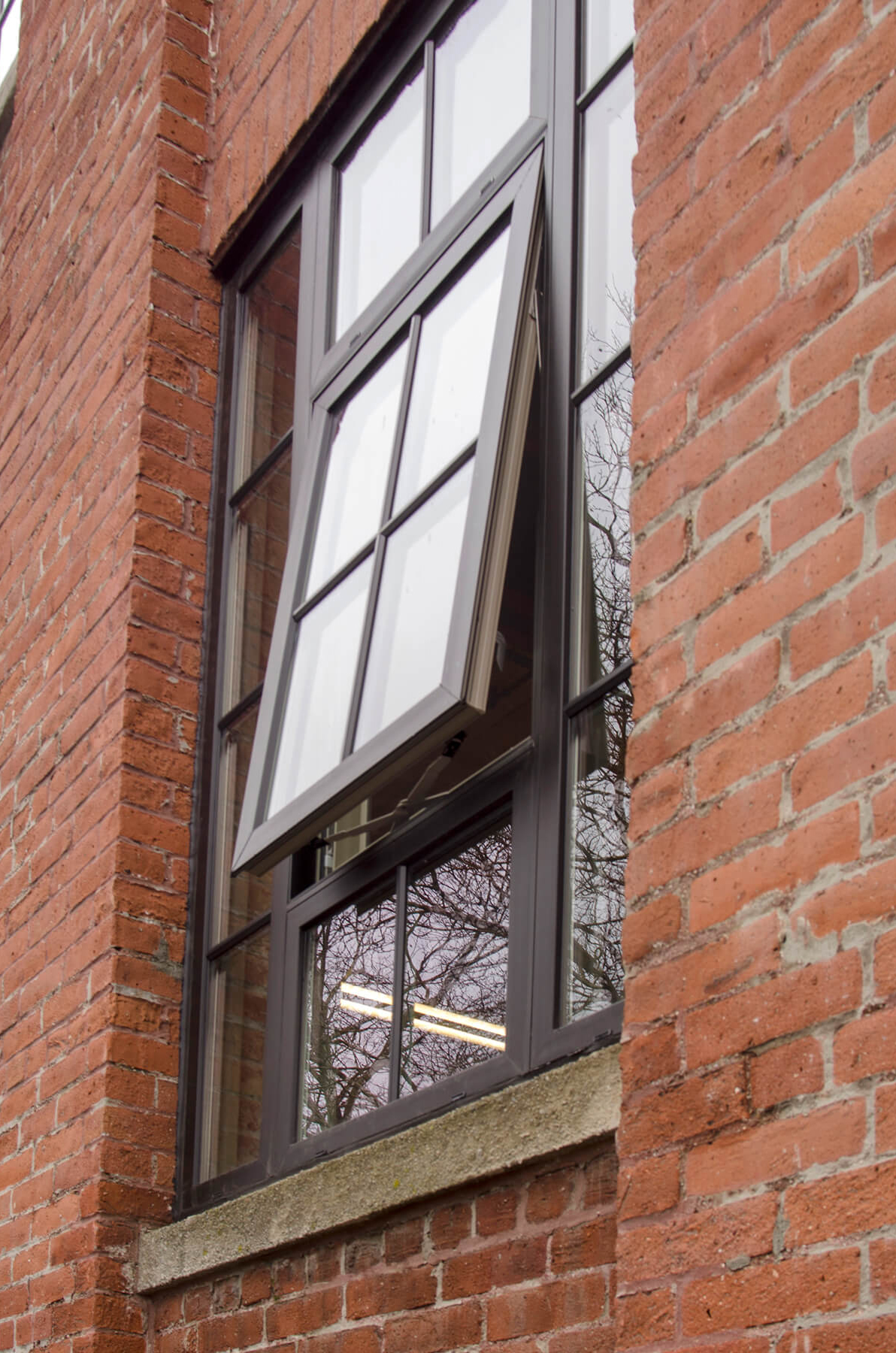 Photo of Kolbe Forgent windows